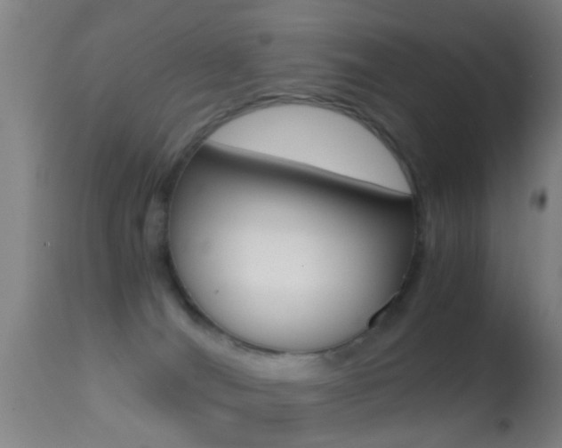 X0000114680036200910211041