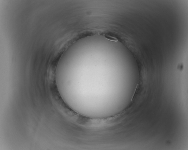 X0000114680037200910211041