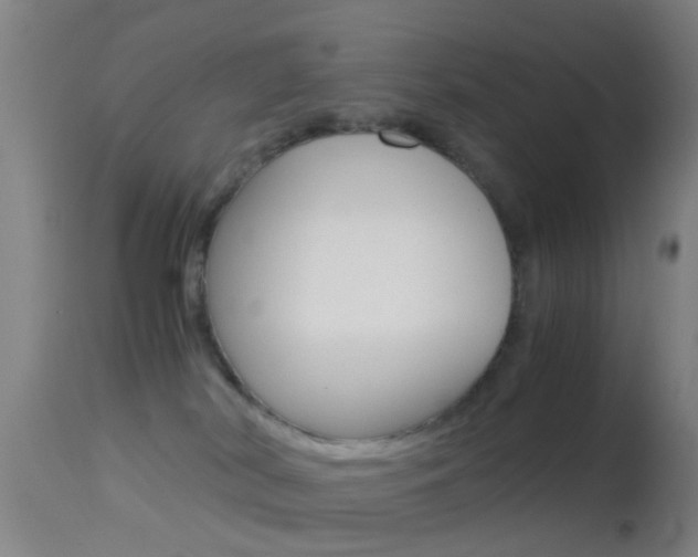X0000114680038200910211041