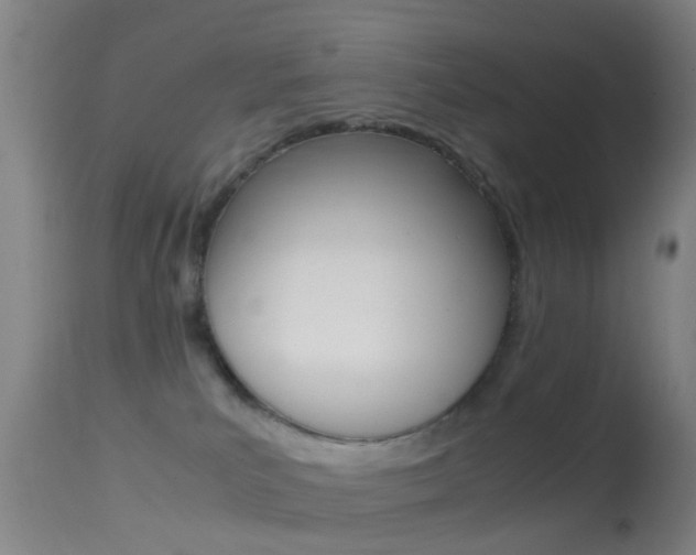 X0000114680039200910211041