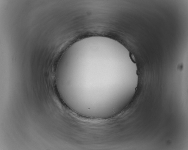 X0000114680040200910211041