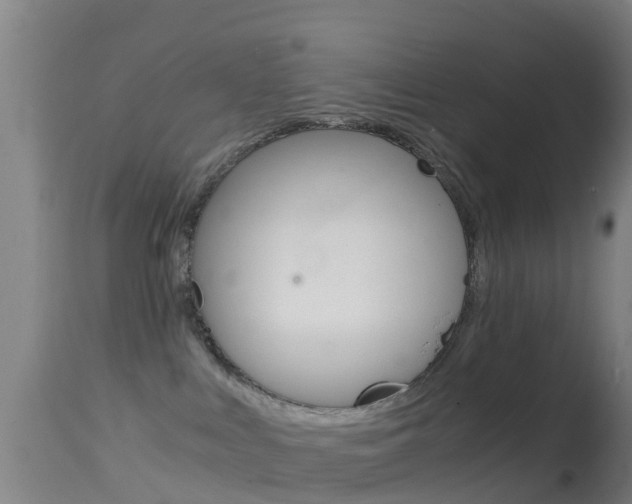 X0000114680043200910211041