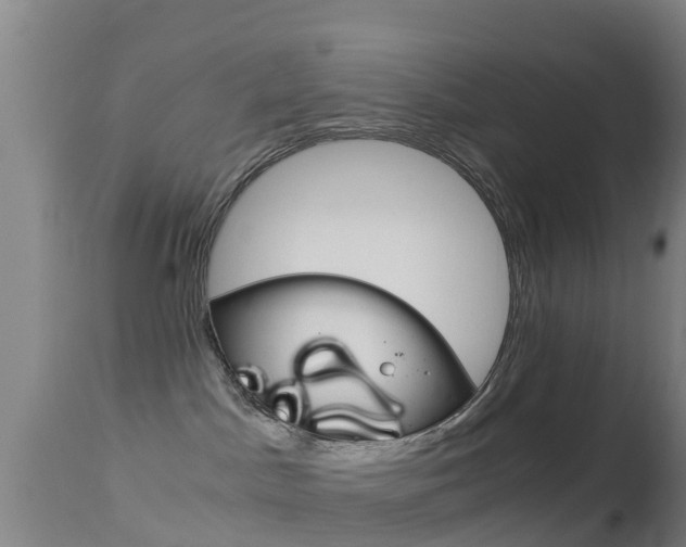 X0000114680045200910211041