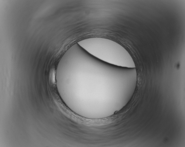X0000114680046200910211041