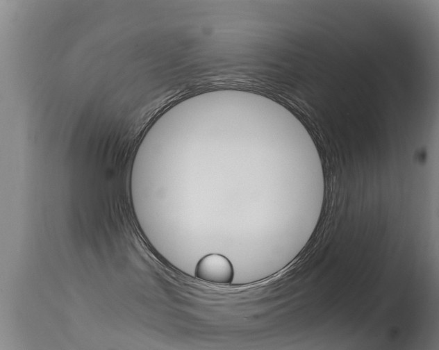 X0000114680047200910211041