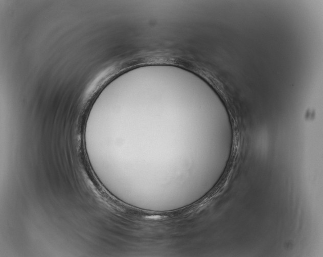 X0000114680053200910211040