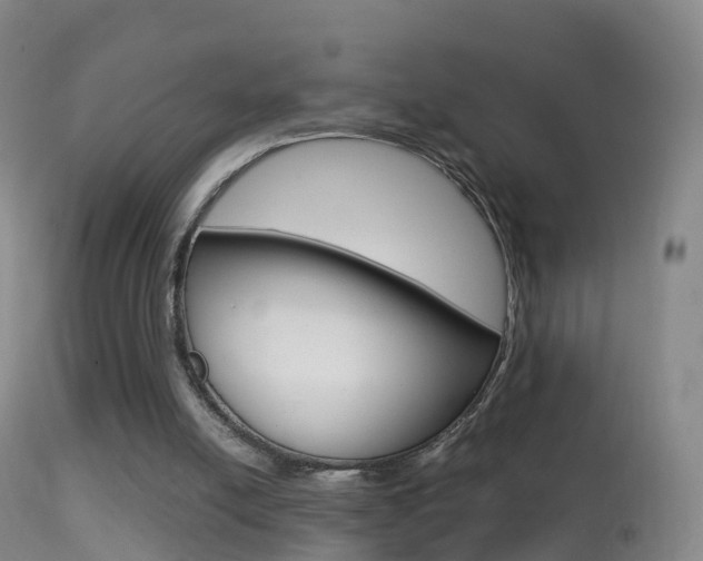 X0000114680054200910211040