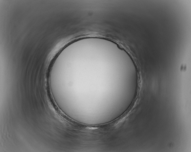 X0000114680055200910211041