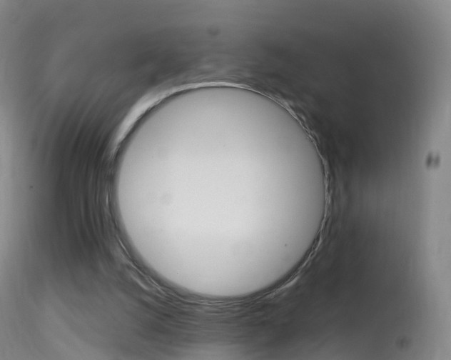 X0000114680056200910211041