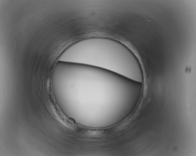 X0000114680057200910211041