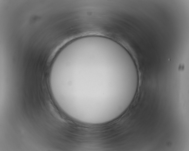 X0000114680060200910211041