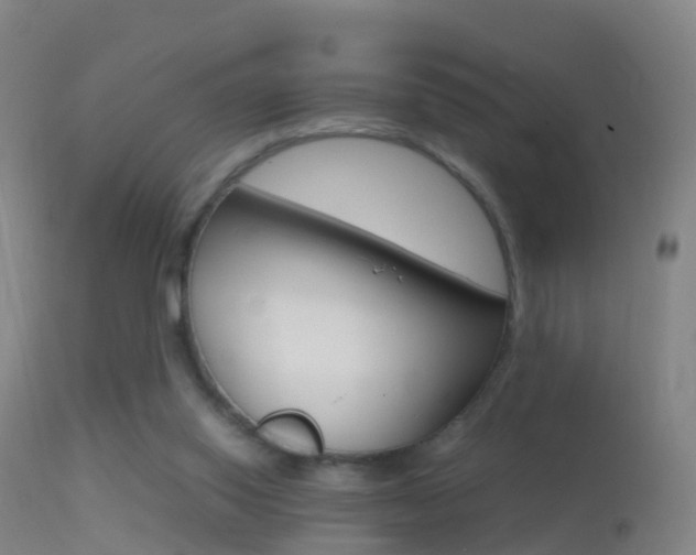 X0000114680062200910211041
