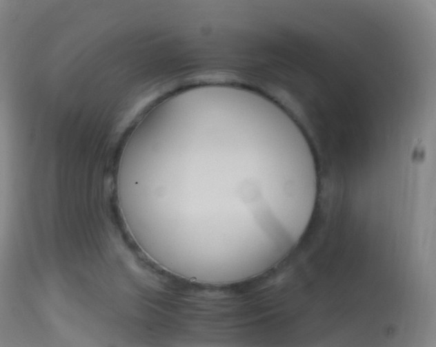 X0000114680063200910211041