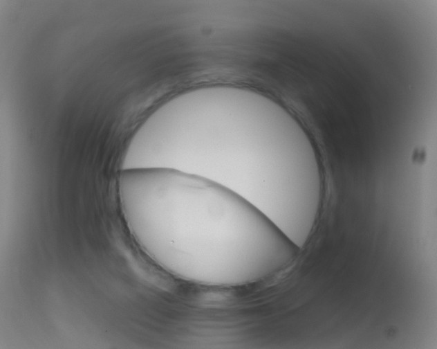 X0000114680066200910211041