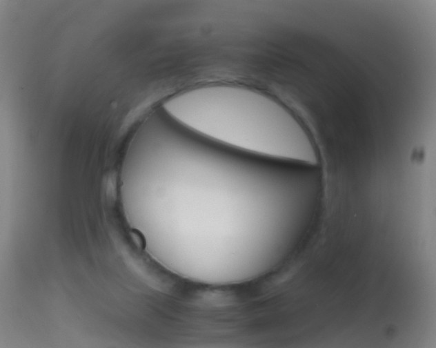 X0000114680067200910211041