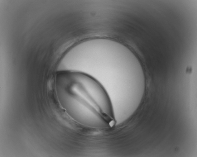 X0000114680068200910211041