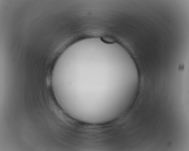 X0000114680069200910211041