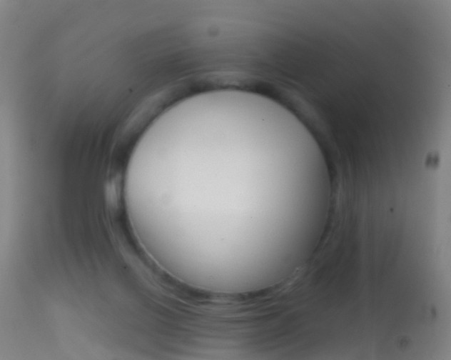 X0000114680070200910211041