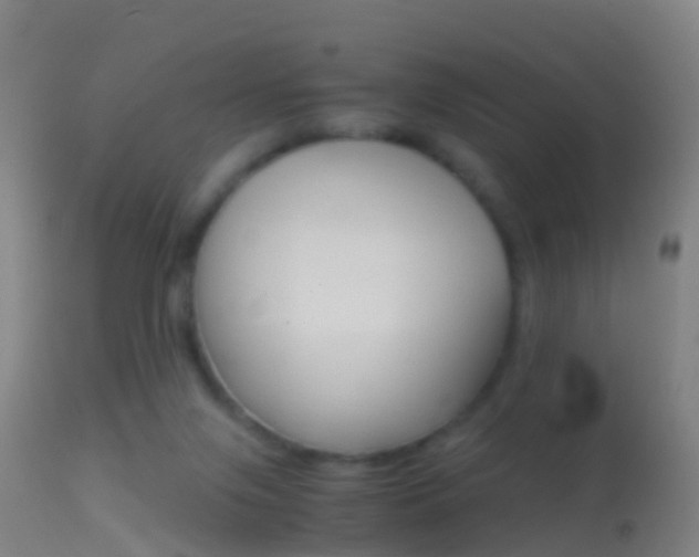 X0000114680071200910211041