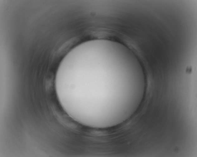 X0000114680073200910211041