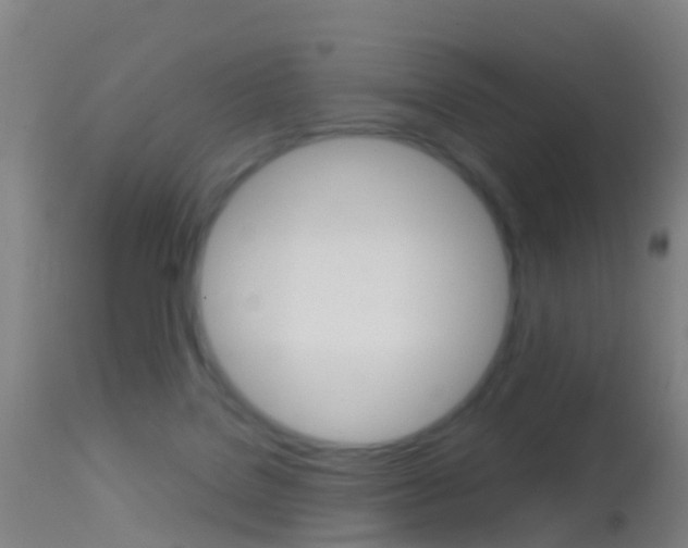 X0000114680076200910211041