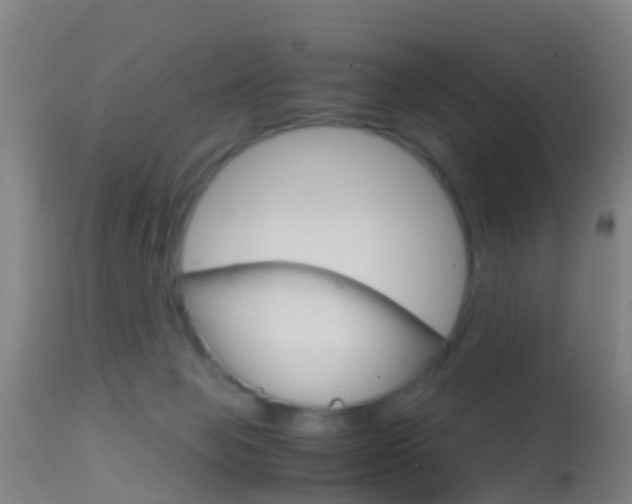 X0000114680077200910211041