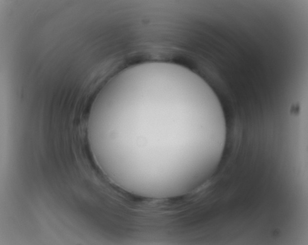 X0000114680078200910211041