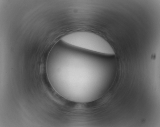 X0000114680080200910211041