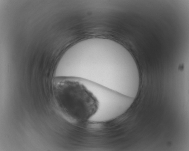 X0000114680081200910211041