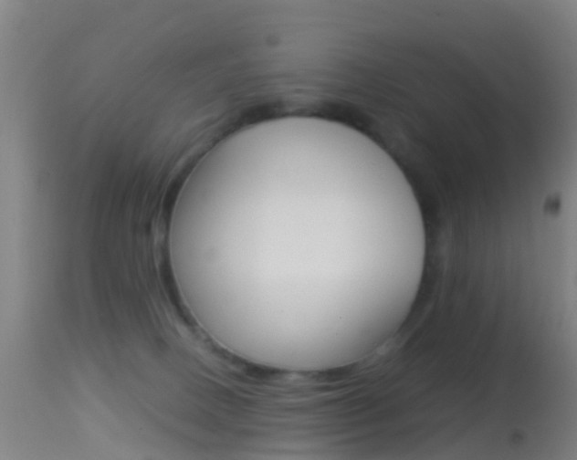 X0000114680082200910211041