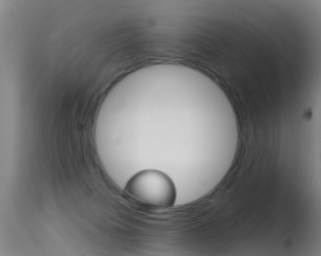 X0000114680084200910211041