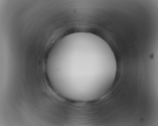 X0000114680086200910211041