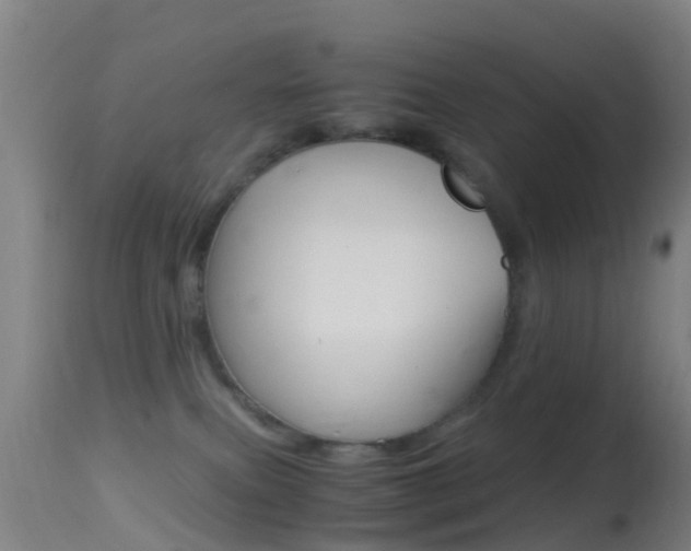X0000114680087200910211041