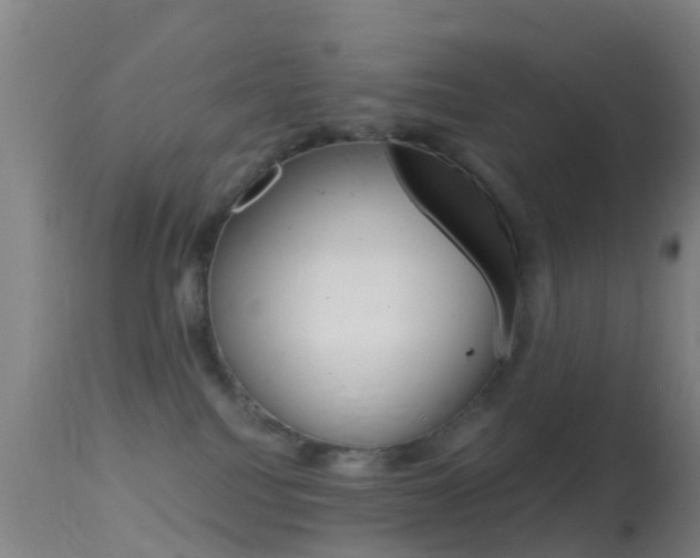 X0000114680088200910211041