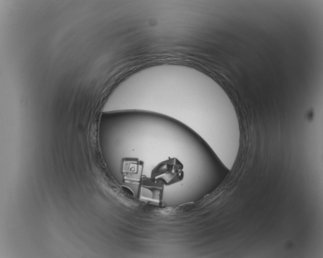 X0000114680092200910211041
