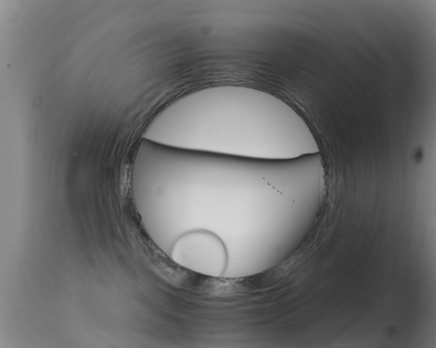 X0000114680093200910211041