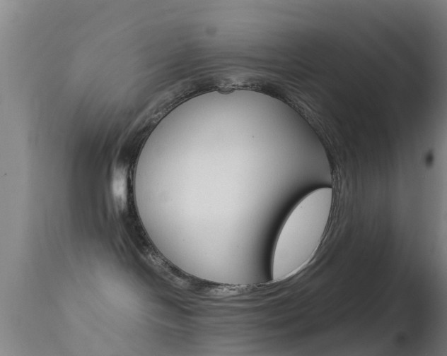 X0000114680094200910211041