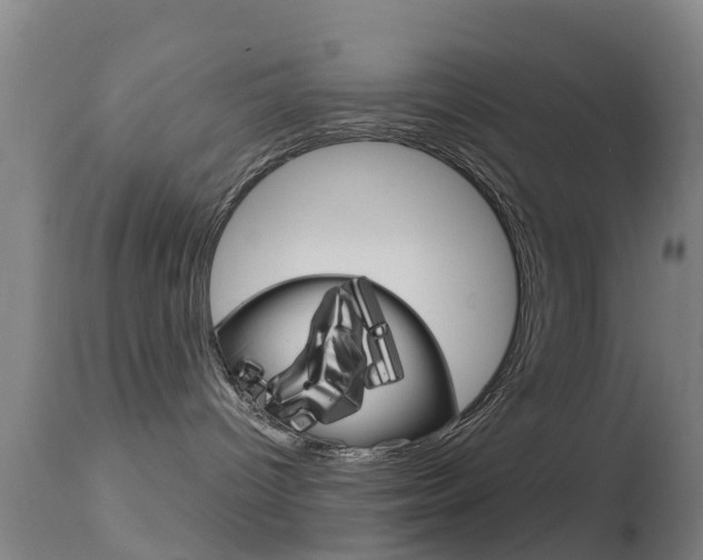 X0000114680096200910211041