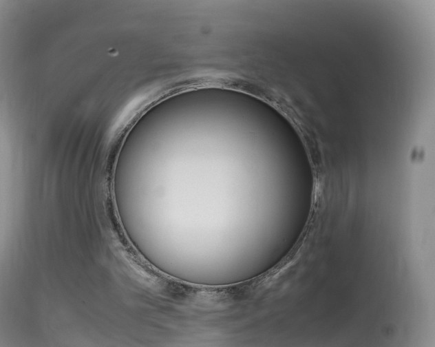 X0000114680101200910211040