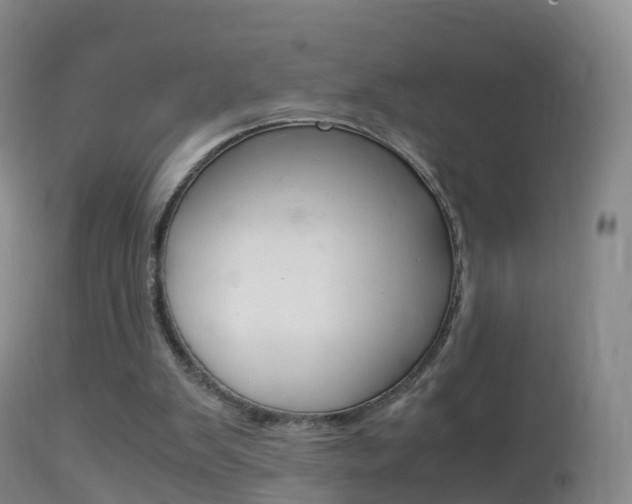 X0000114680103200910211040
