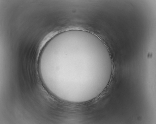 X0000114680104200910211040