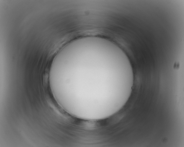 X0000114680118200910211040