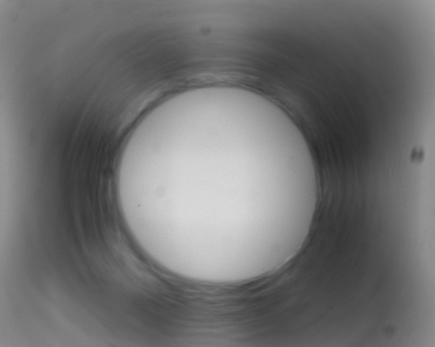 X0000114680120200910211040