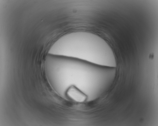 X0000114680125200910211040