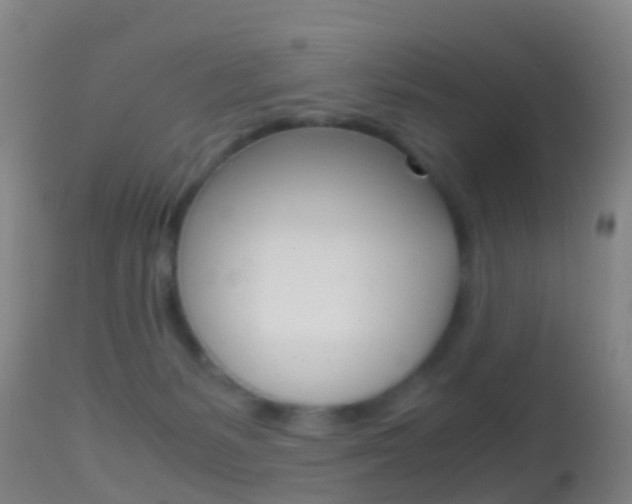 X0000114680127200910211040