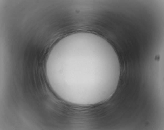 X0000114680128200910211040