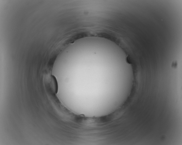 X0000114680129200910211040