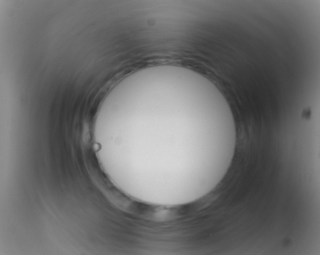 X0000114680130200910211040