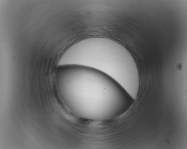 X0000114680132200910211040