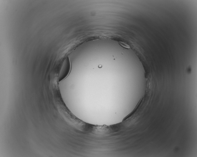 X0000114680141200910211040
